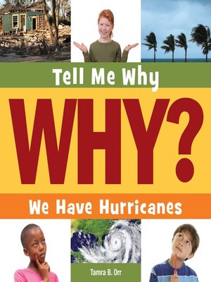cover image of We Have Hurricanes